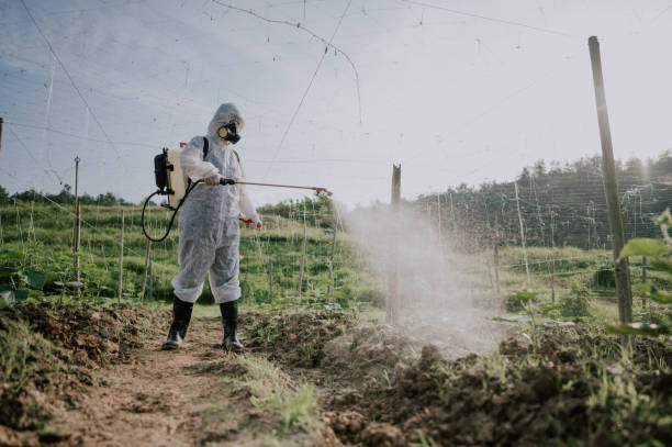 Best Affordable Pest Control Services  in Ackley, IA
