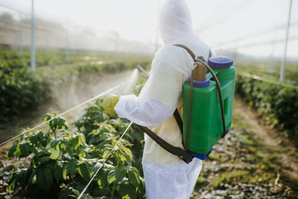 Flea Control Services in Ackley, IA